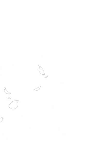 第35頁圖
