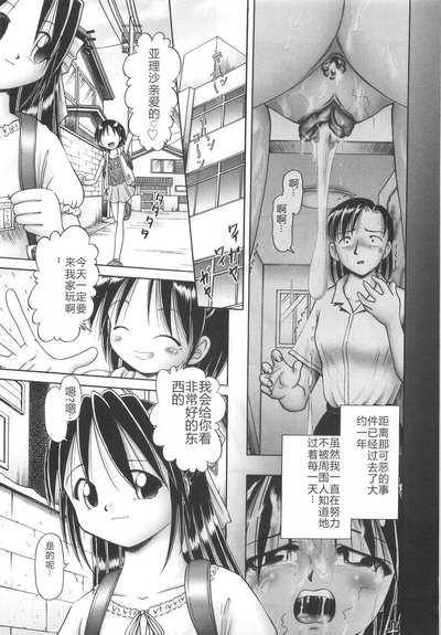 第211页图
