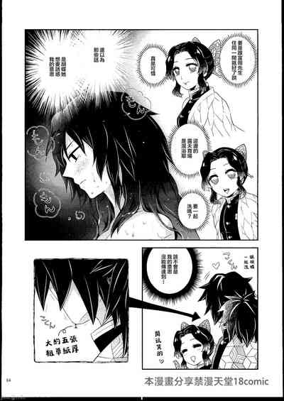 第63页图