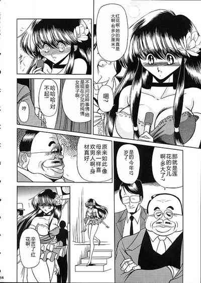第11页图