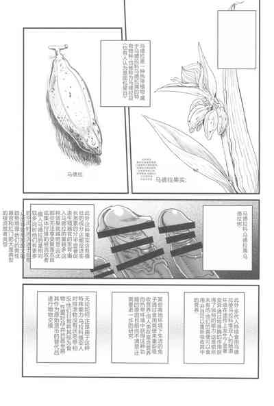 第11页图