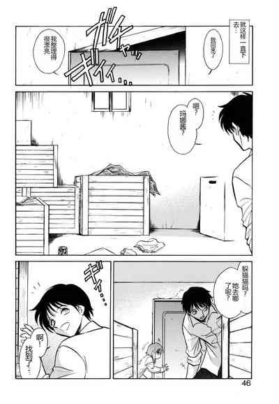 第43頁圖