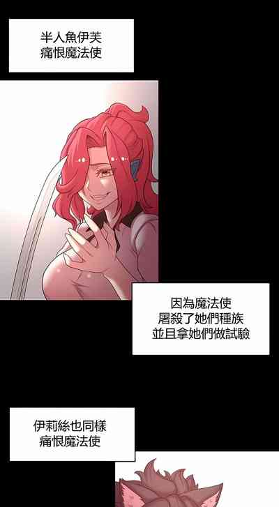 第411頁圖