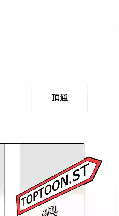 第511頁圖