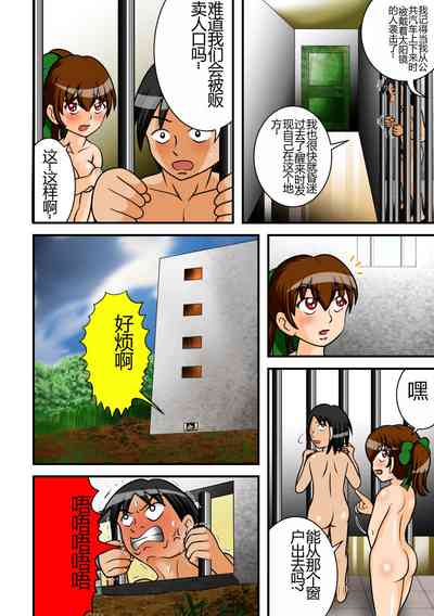 第11页图