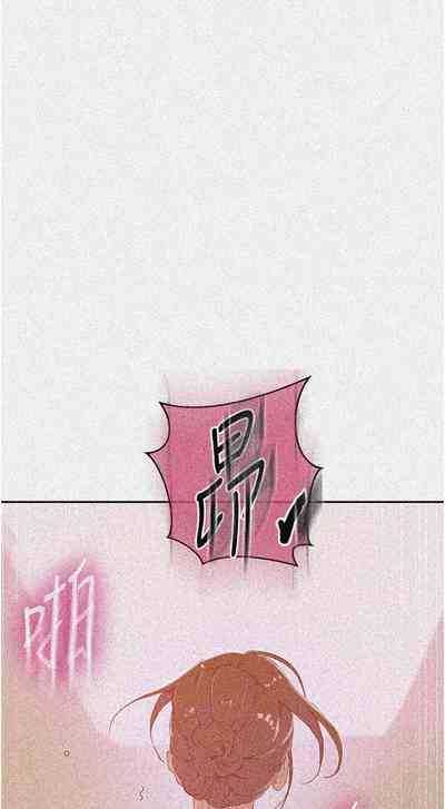 第511頁圖