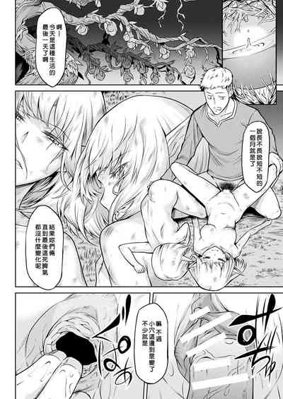 第91頁圖
