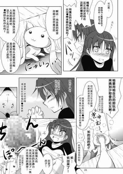 第23頁圖