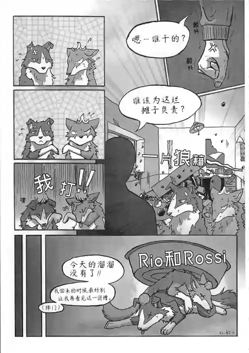 Rio和Rossi图