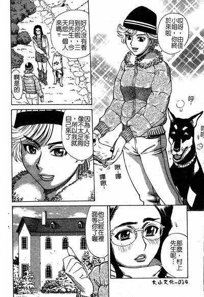 第31頁圖