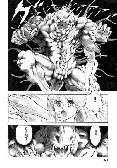 第219頁圖