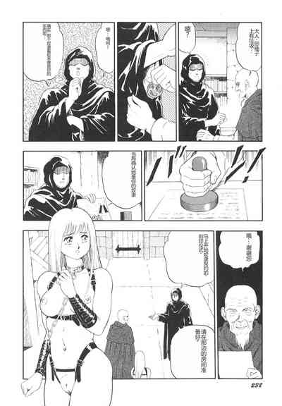 第239頁圖
