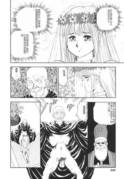 第243頁圖