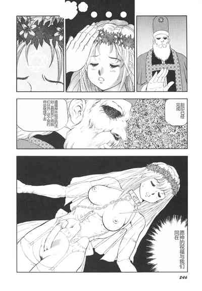 第247頁圖