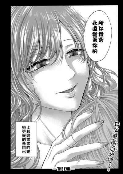 第339頁圖