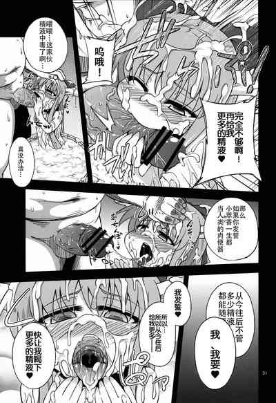 第31頁圖