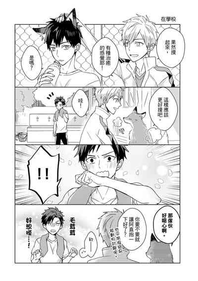 第607页图