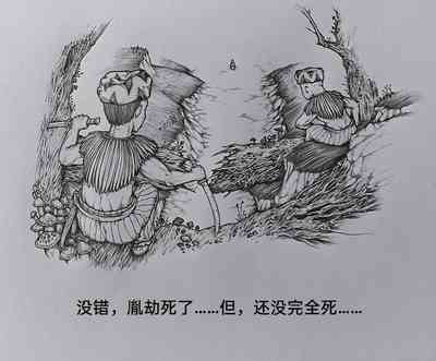第47頁圖