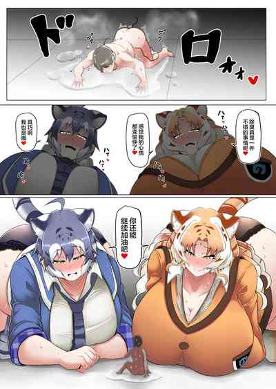 第31頁圖