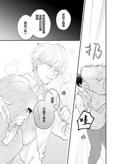 第219页图
