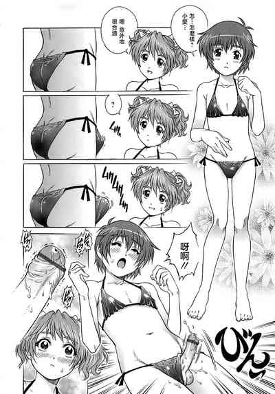 第31頁圖