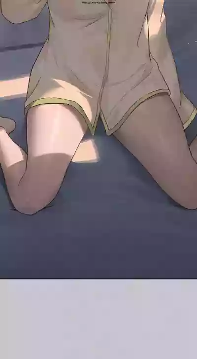 第335頁圖