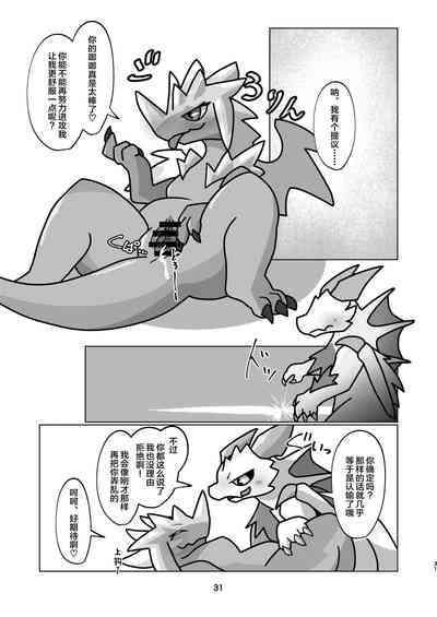 第31頁圖