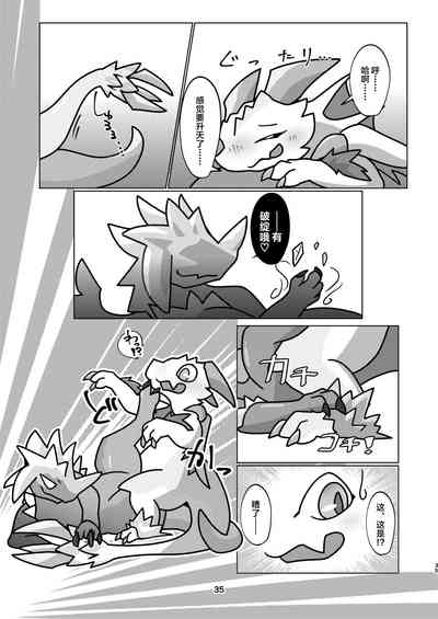 第35頁圖