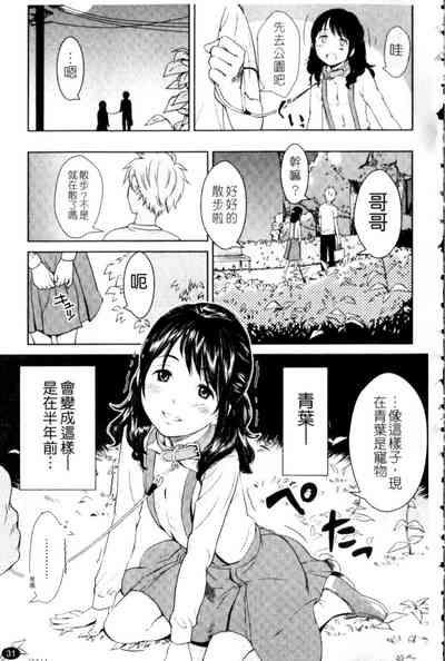 第31頁圖