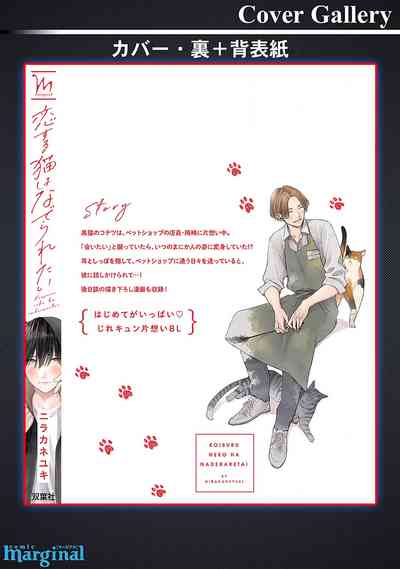 第187頁圖