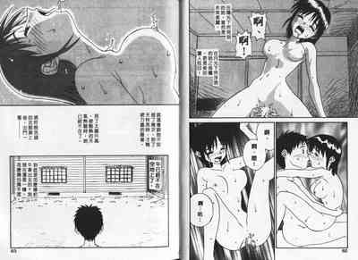 第31頁圖