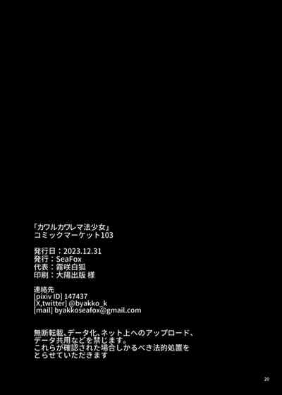 第19頁圖