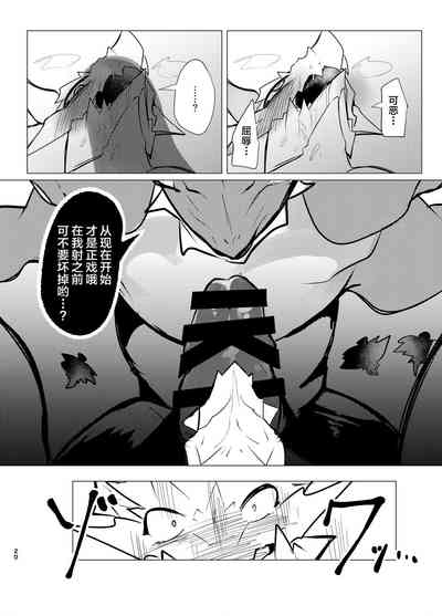 第19頁圖