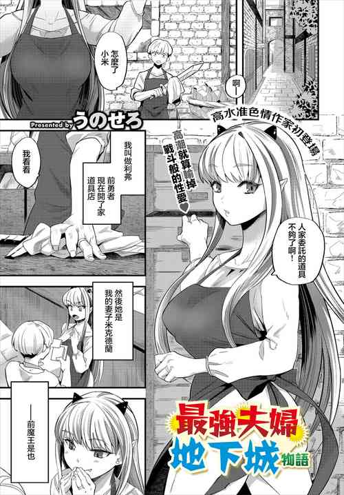 最強夫婦ダンジョン物語 封面 - HaSM.cc
