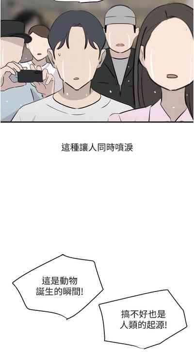 第223頁圖