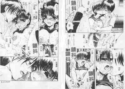 第19頁圖