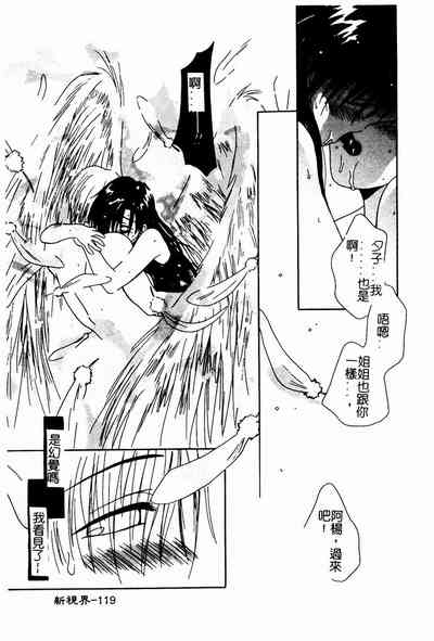 第119頁圖