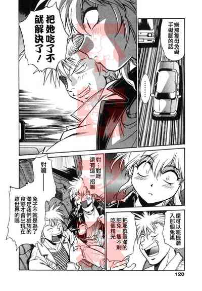 第119頁圖