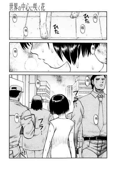 第119頁圖