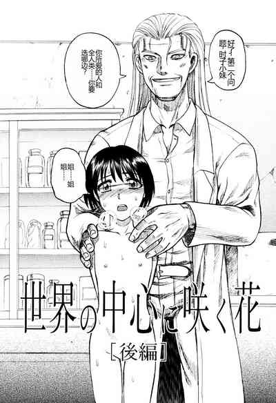 第135頁圖