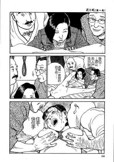 第115頁圖
