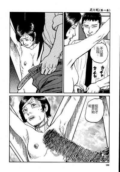 第195頁圖