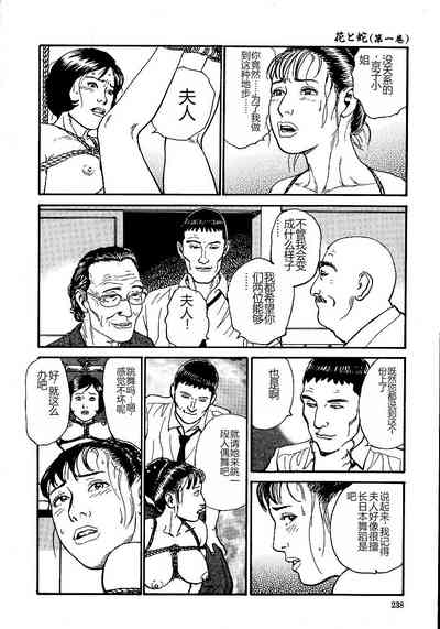 第243頁圖