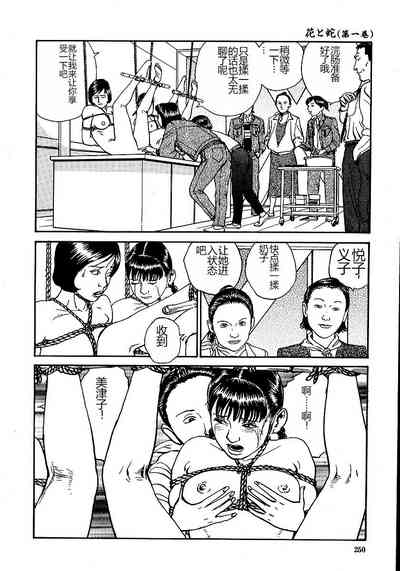 第255頁圖