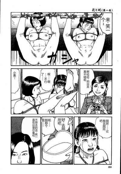 第263頁圖
