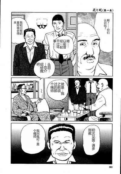 第267頁圖