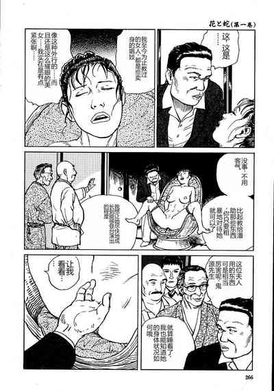第271頁圖