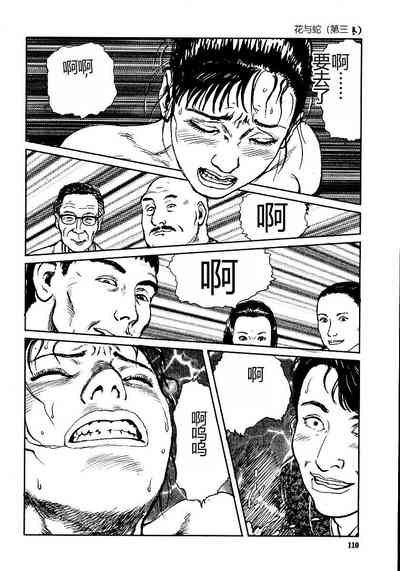 第115頁圖