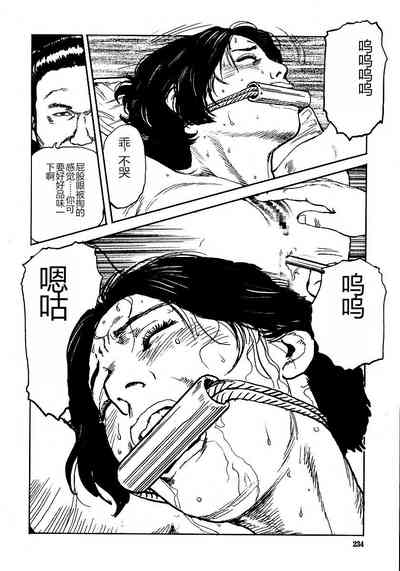 第239頁圖