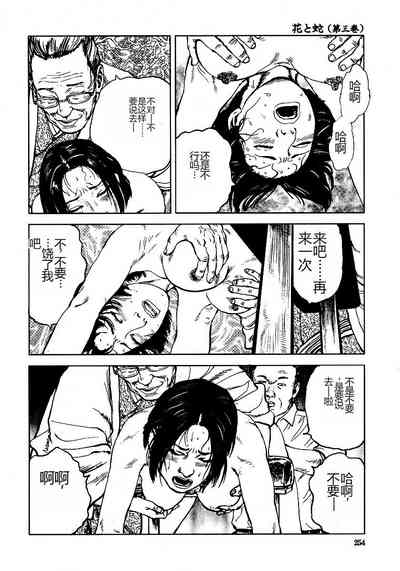 第259頁圖